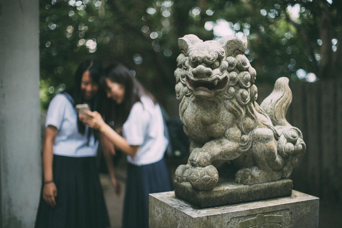 うちだしんのすけ tweet media