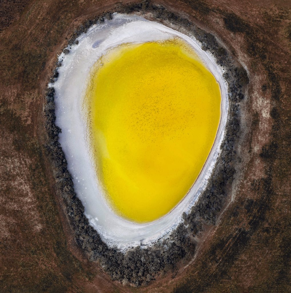 Rakesh Pulapa tweet media