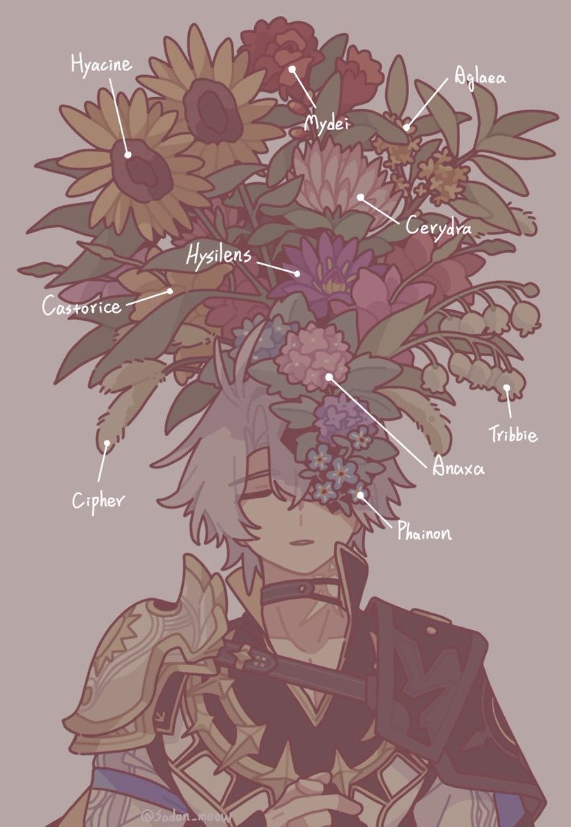 SADEN🌰狸子餅 (@saden_meow) on Twitter photo 