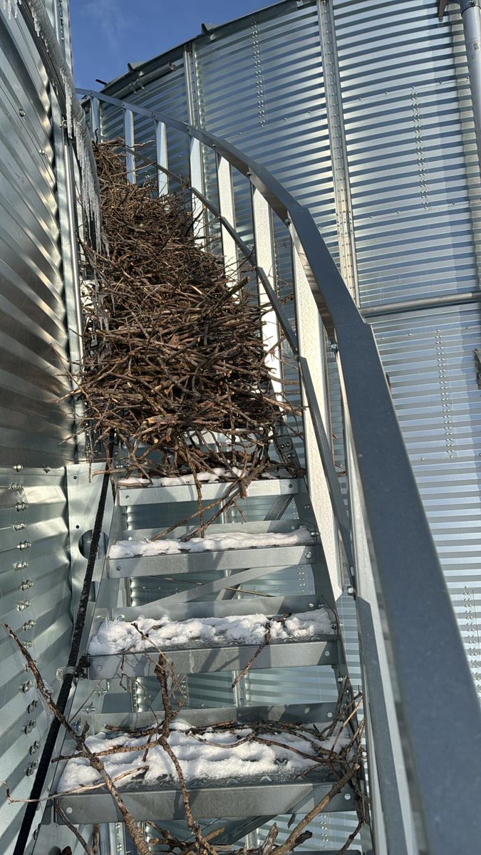 Rutherford Farms tweet media