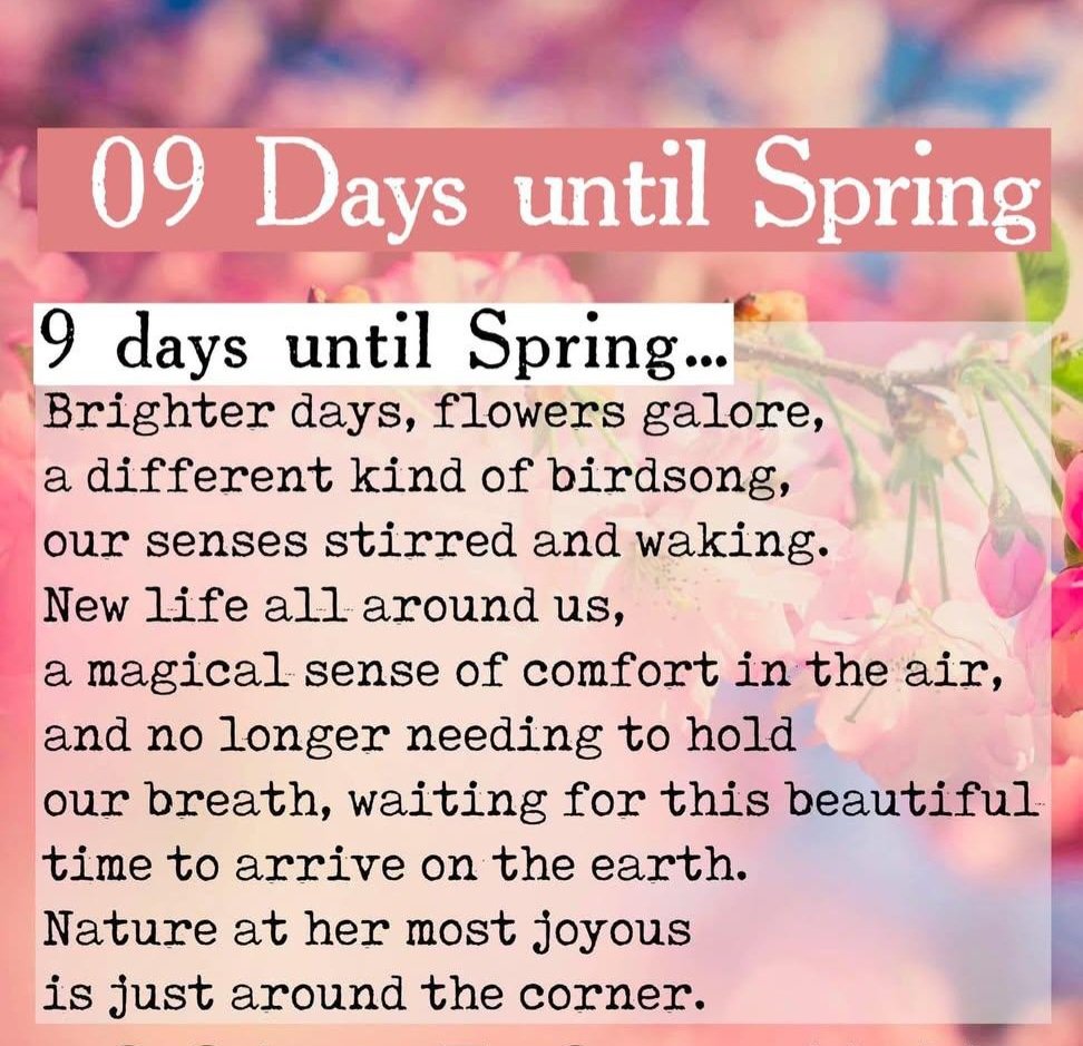 Lisa Chandler tweet media