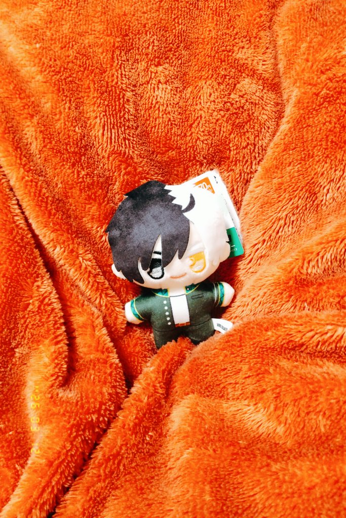 かわいいから連れ帰ってきた