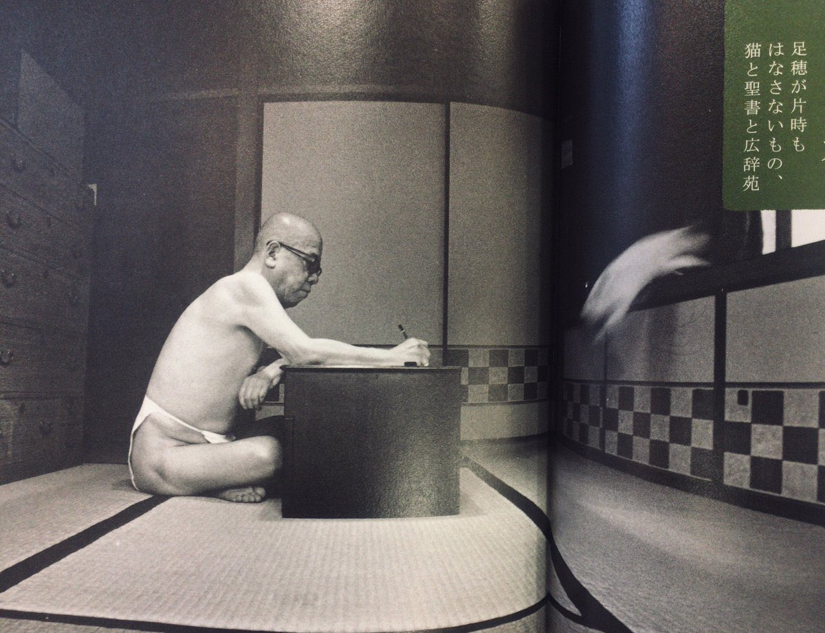 褌一丁で執筆に励む稲垣足穂と移動中の猫。
（参照:『作家の猫』平凡社、P68～69）