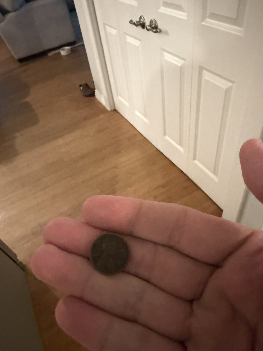 Andy Tripp tweet media