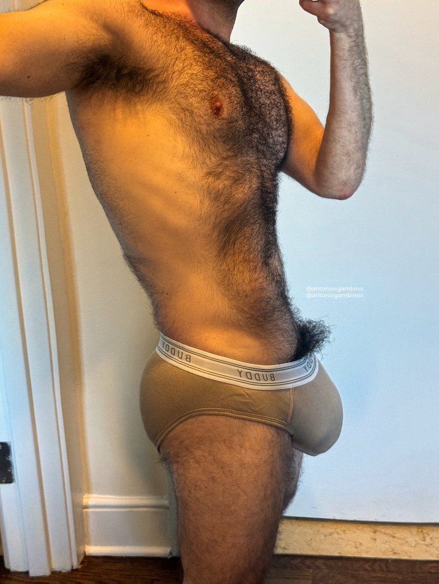 Antonio Gambino (Bush King 🤴) tweet media