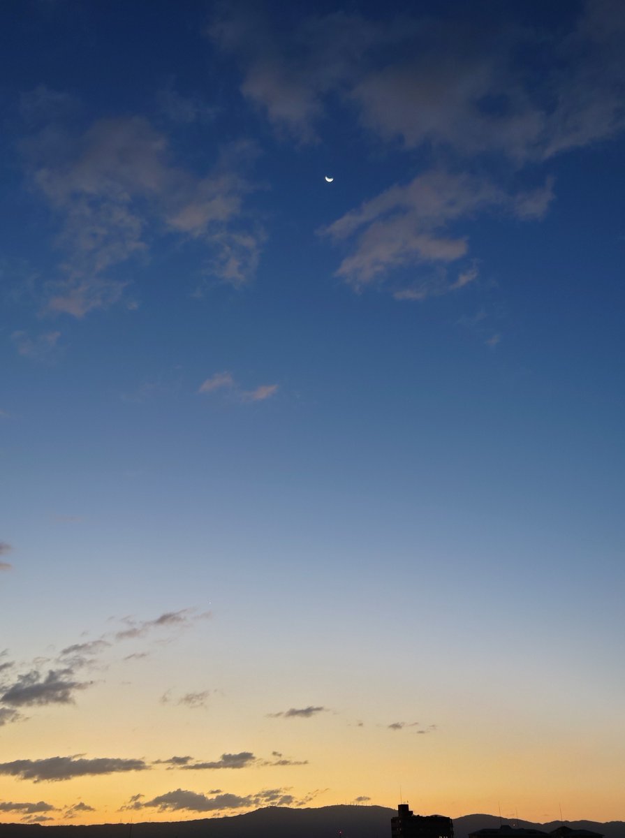 mao 【もう1つ次の未来へ】 tweet media