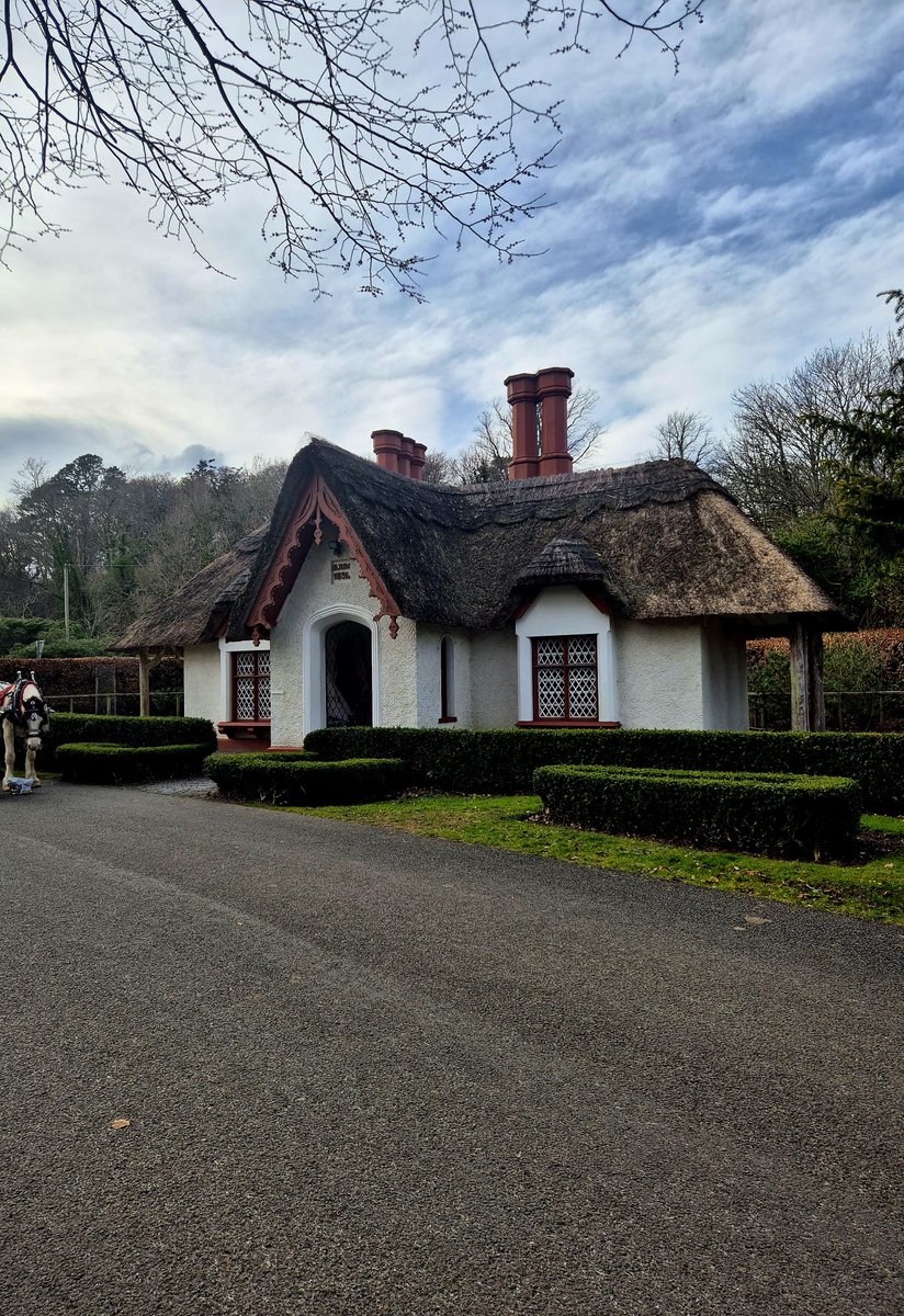 DestinationKillarney tweet media