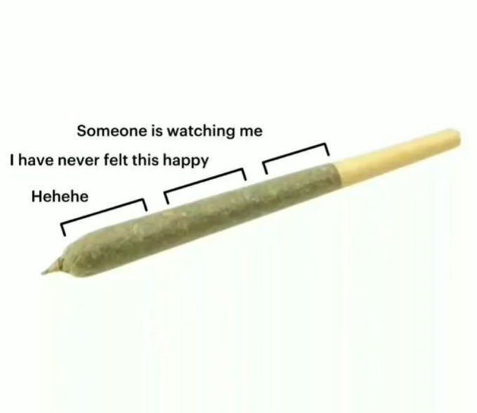 things that i smoke weed to tweet media