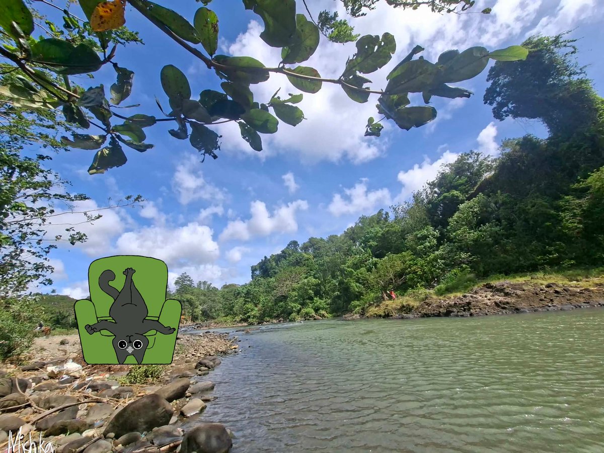 Pause.
Think.
Build differently.

Siggy's enjoying the day 🖤
 Gritty Ritual fam 💚
<a href="/0xMadScientist/">Stefan | Mad Scientist (❖,❖)</a> <a href="/Jez_Cryptoz/">Jez ritual/acc (❖,❖)</a> <a href="/joshsimenhoff/">Josh (❖,❖)</a> <a href="/mongdiny7/">Claire (❖,❖)</a> <a href="/ritualnet/">Ritual</a>