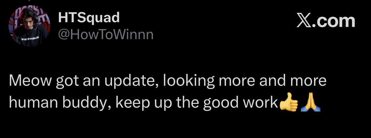 NOVO Esports tweet media