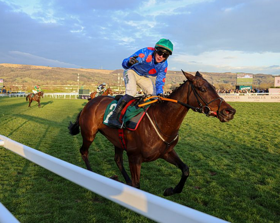 CheltenhamGhost's tweet photo. David Nicholson Hurdle coming up.

Wodhooh the favourite 👀

Anyone taking it on?

#CheltenhamFestival https://t.co/woev148se4