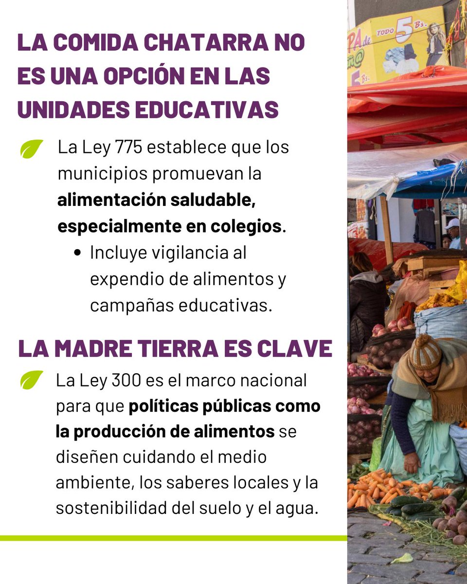 CMSA-LPZ tweet media