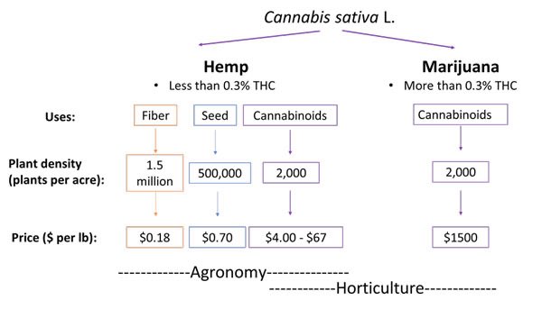 K-State Agronomy tweet media