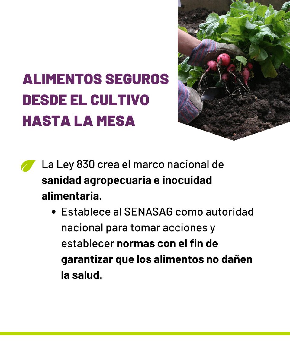 CMSA-LPZ tweet media