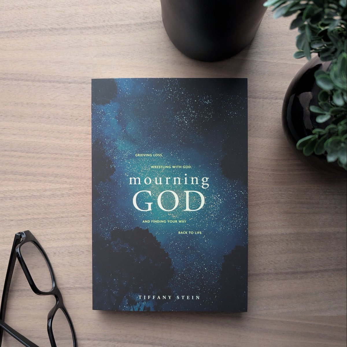 NavPress tweet media