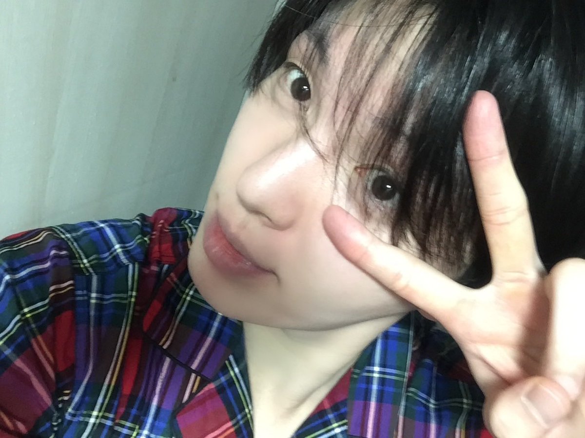 삐약이.. tweet media