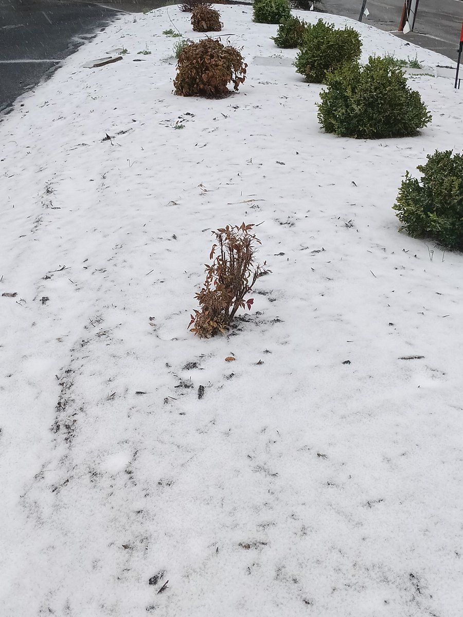 Hazem Sharaf tweet media