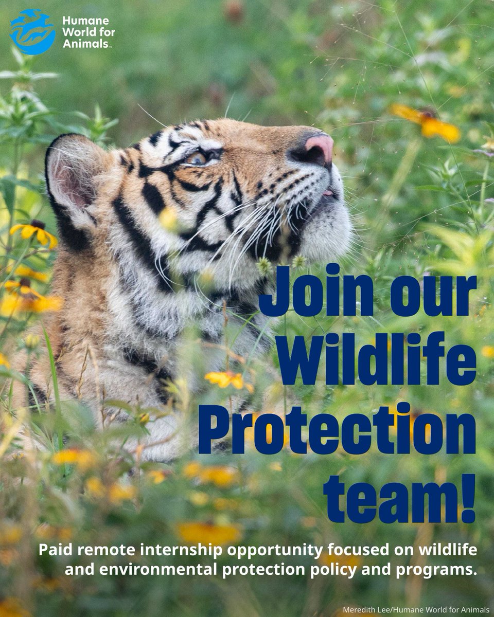 HumanePro tweet media