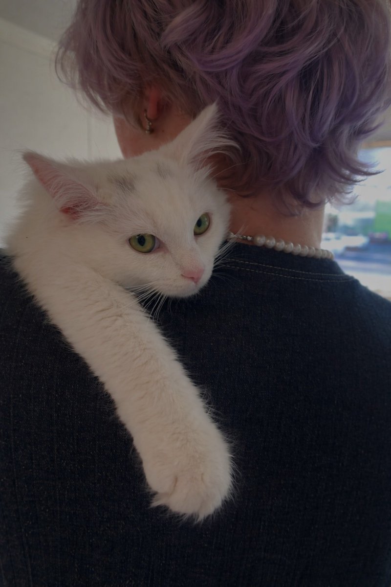 ᵐᵒʳᵉ | ᵃᵘ ⁿᵃʳᵘˢᵃˢᵘ tweet media