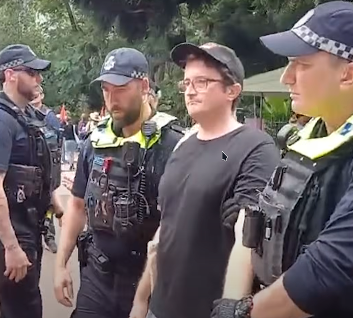 orange 🍊 tweet media