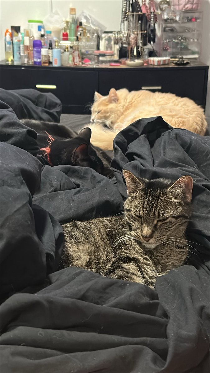 One is missing from the pic but they living in my skin and getting on my nerves. 😂