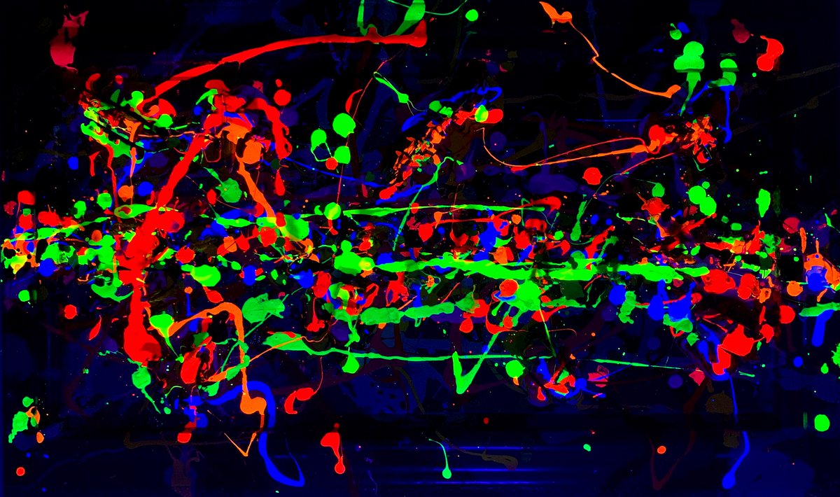 Ray Paul tweet media