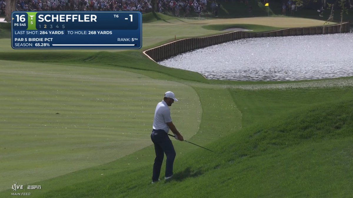 Fried Egg Golf tweet media