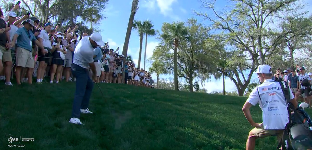 Fried Egg Golf tweet media