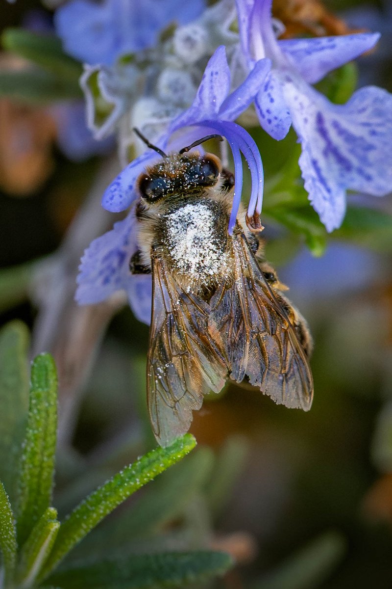 Tina Quillen Photography tweet media