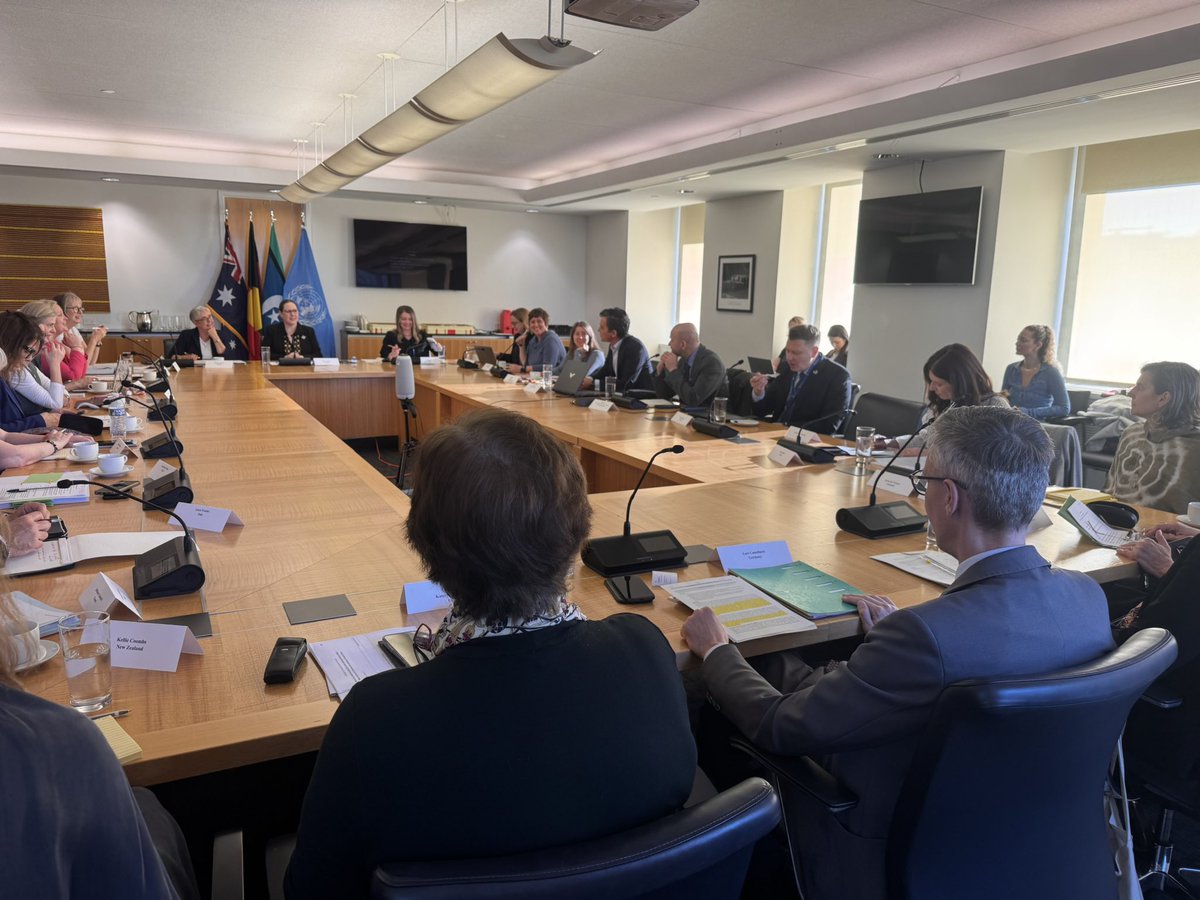 Irene Fellin - NATO SGSR for WPS tweet media