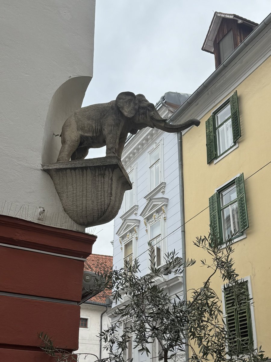 Global Politics & Law tweet media