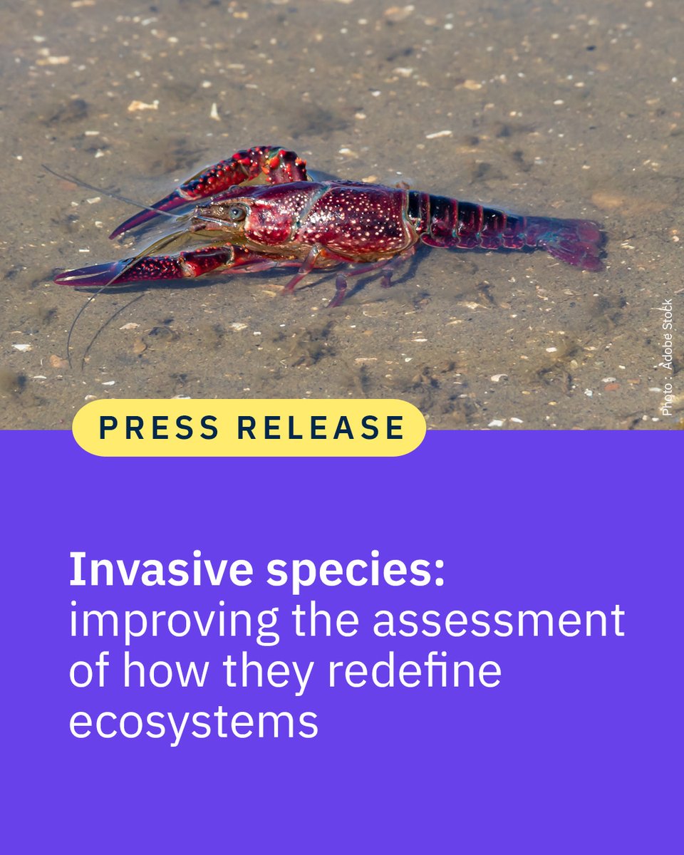 CNRS 🌍 tweet media