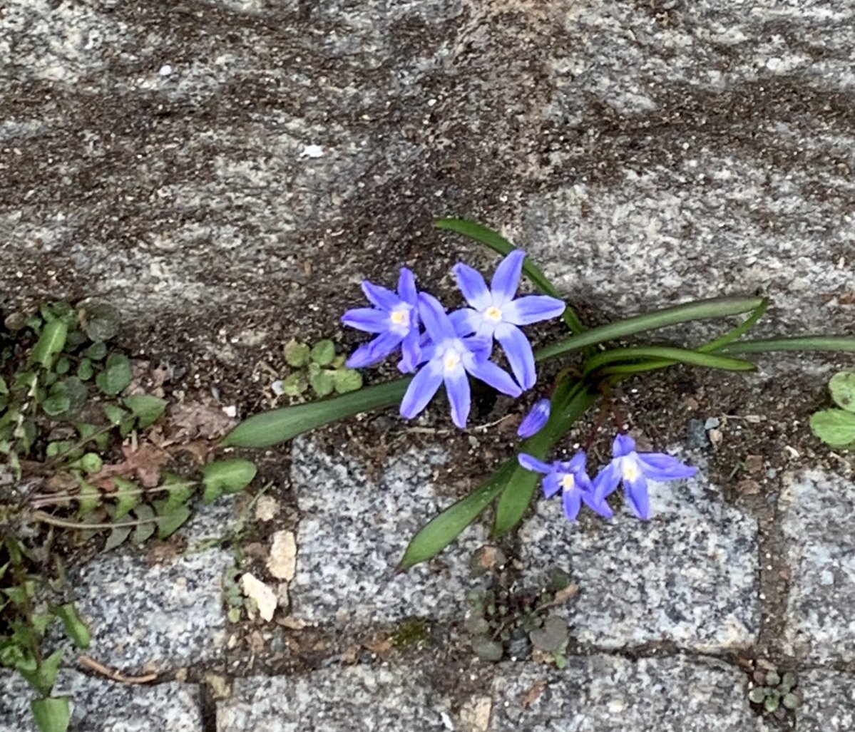 Elke✝️ tweet media