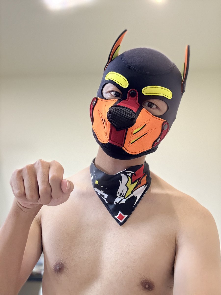 小宏(公零洨騷犬) tweet media