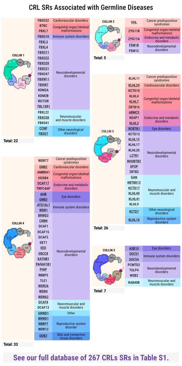 Wojciech Pokrzywa tweet media