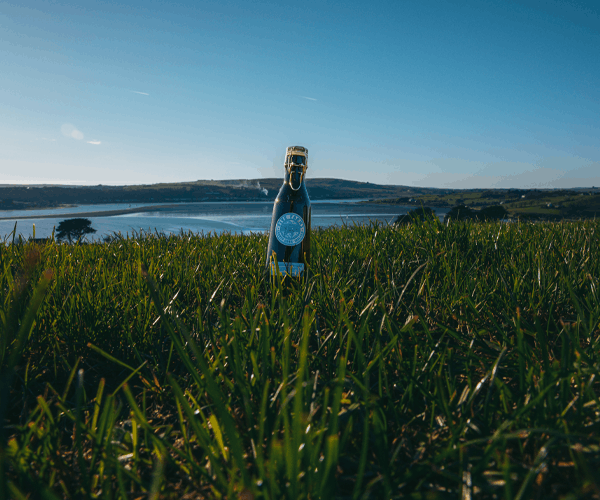 Food & Drink Network UK tweet media