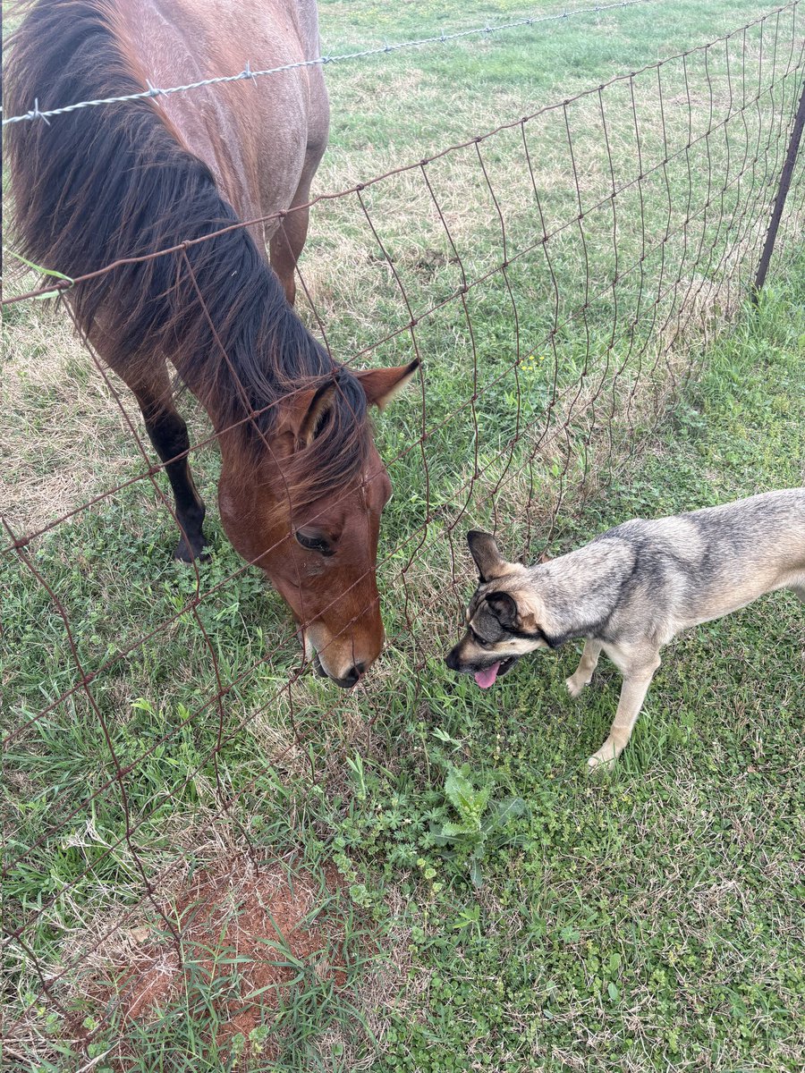 Amy Lawrence tweet media