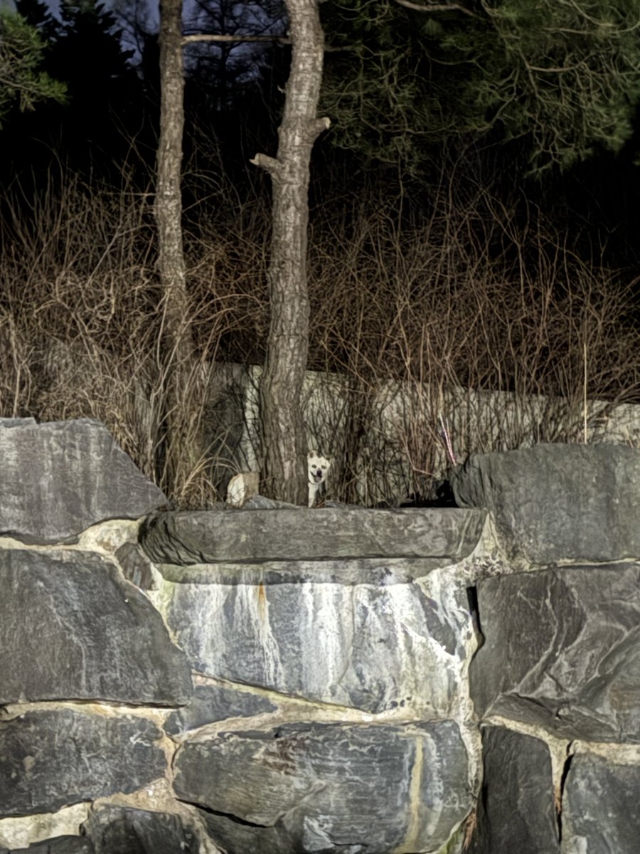 약밥이 tweet media