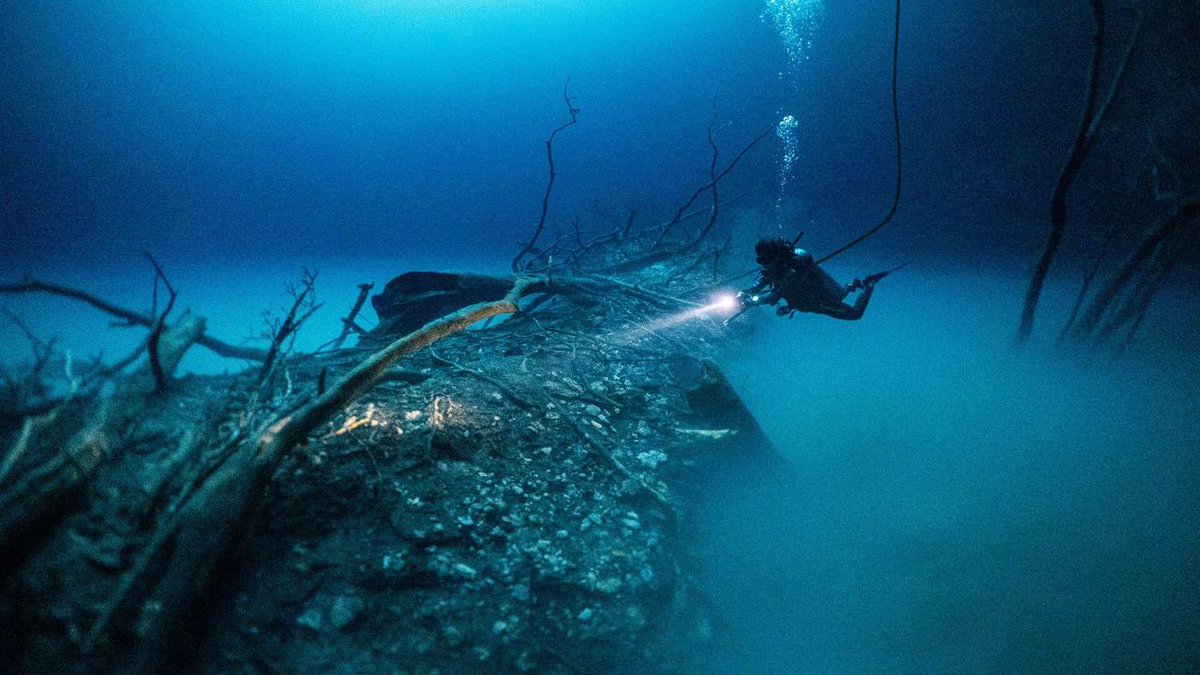 The Other Side Media tweet media