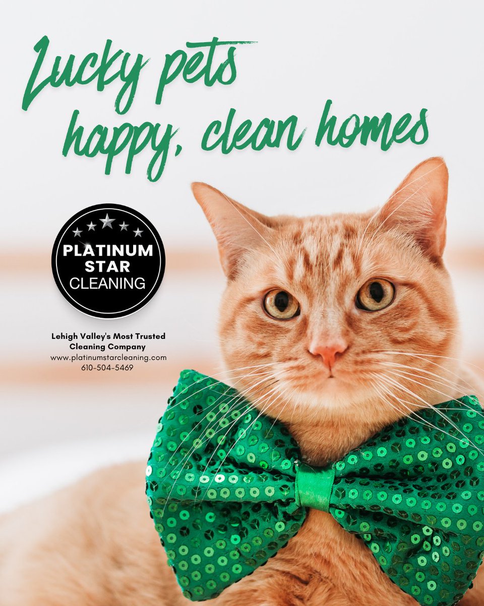 PStarclean's tweet photo. 🍀 Feeling lucky to have a clean home even with furry family members around! 🐾✨

We know pets bring so much joy (and a little extra mess 😄) That's why Platinum Star Cleaning is here to keep your home fresh, clean and sparkling this St. Patrick's Day and beyond! https://t.co/iRFNTYSQk8