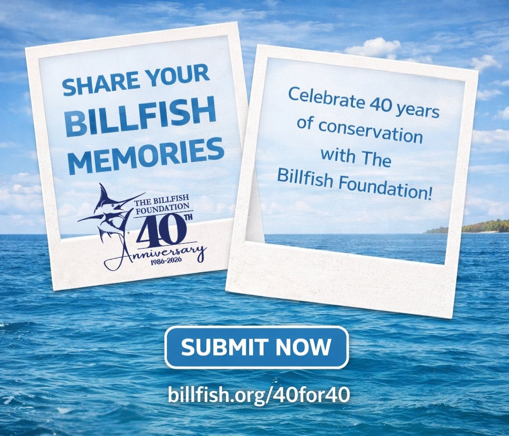 The Billfish Foundation tweet media