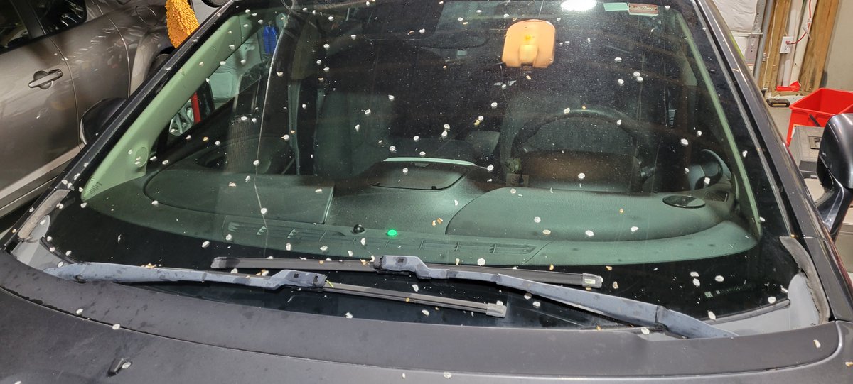 Scott Johnson tweet media