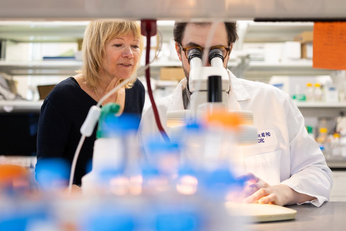 Yale University tweet media