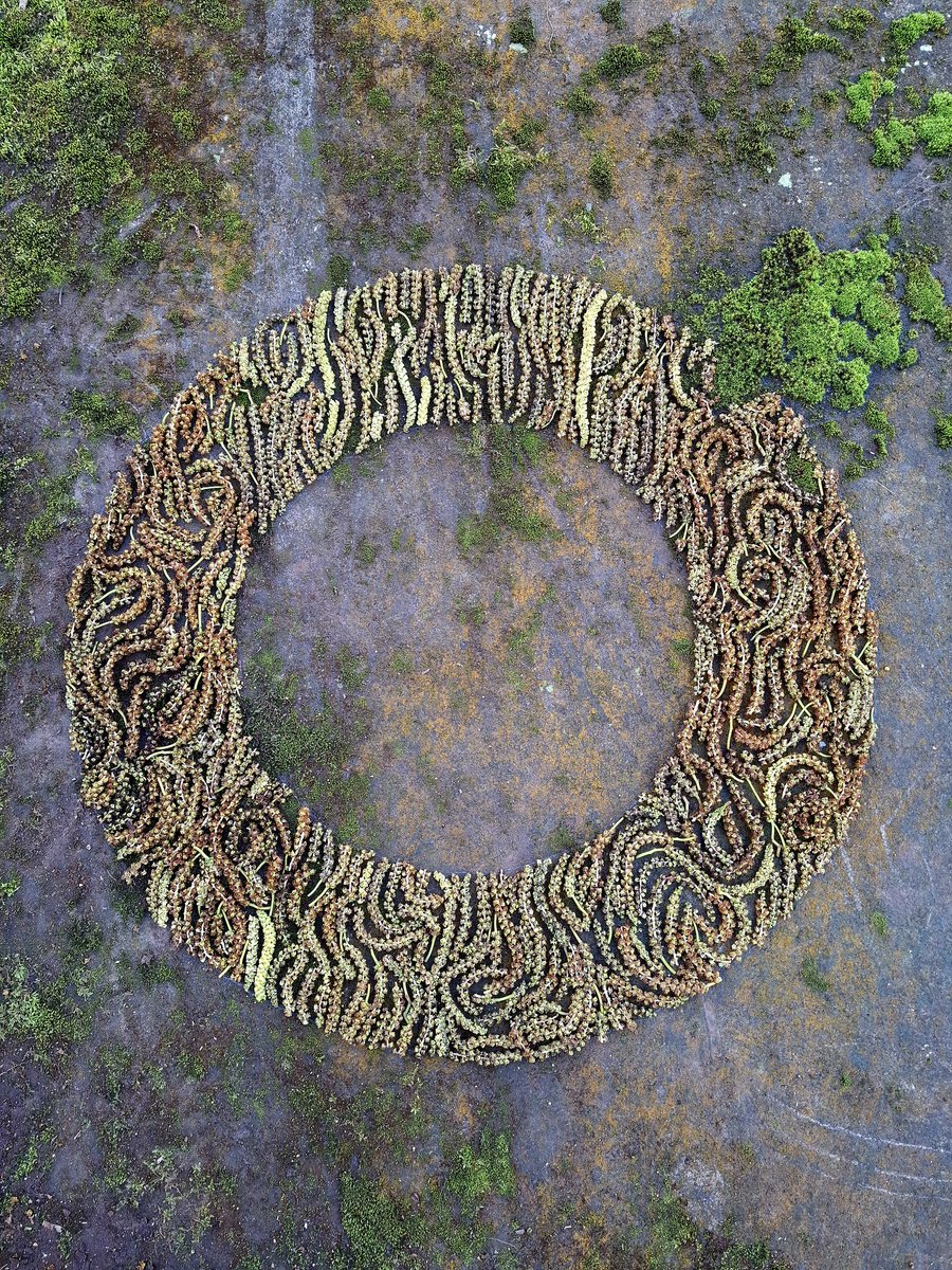 Tim Pugh tweet media