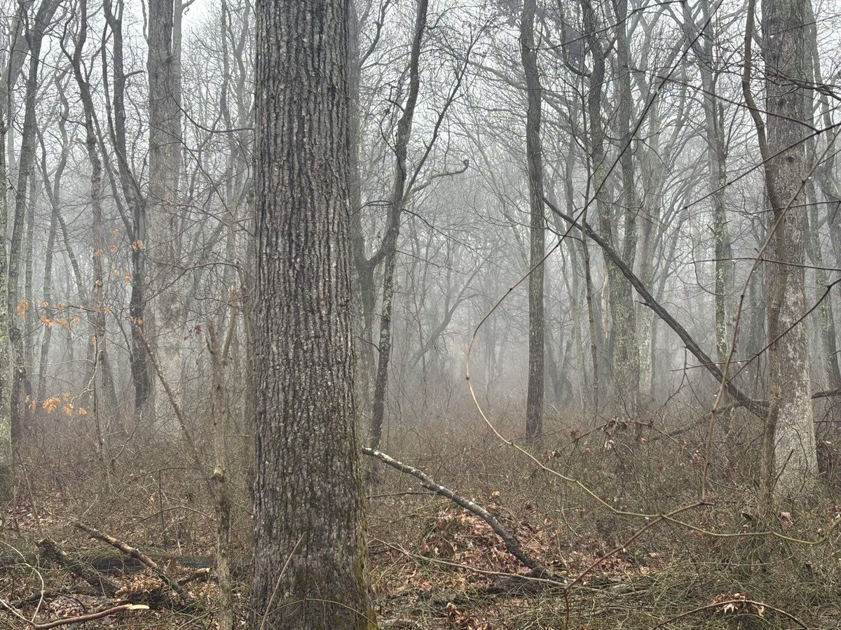 Sclimbo 💪🧭【 SVA 】 tweet media