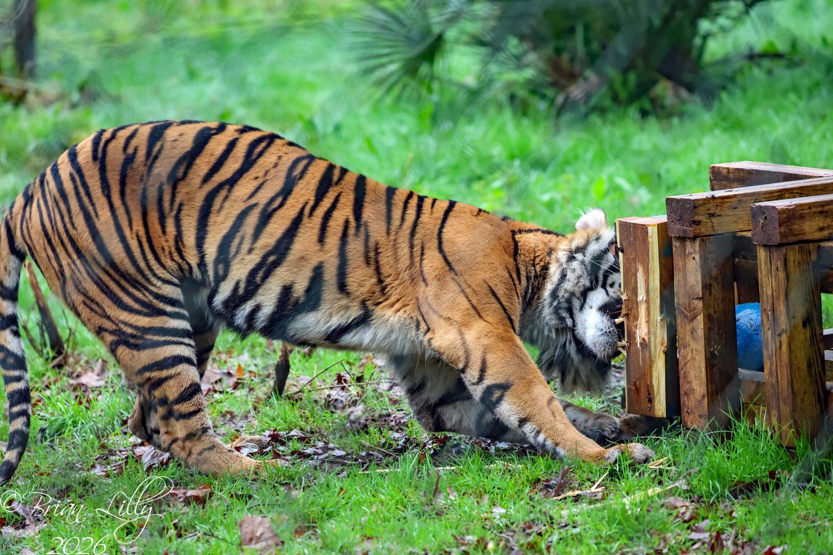 Brian Lilly tweet media