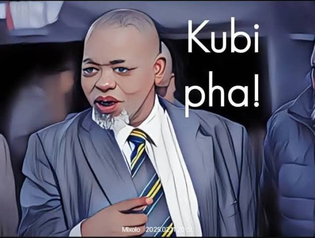 He undermined the Commissioners 🤣 #MadlangaCommission