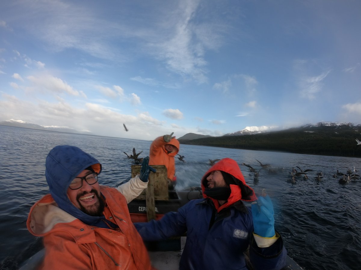 Instituto Milenio BASE tweet media