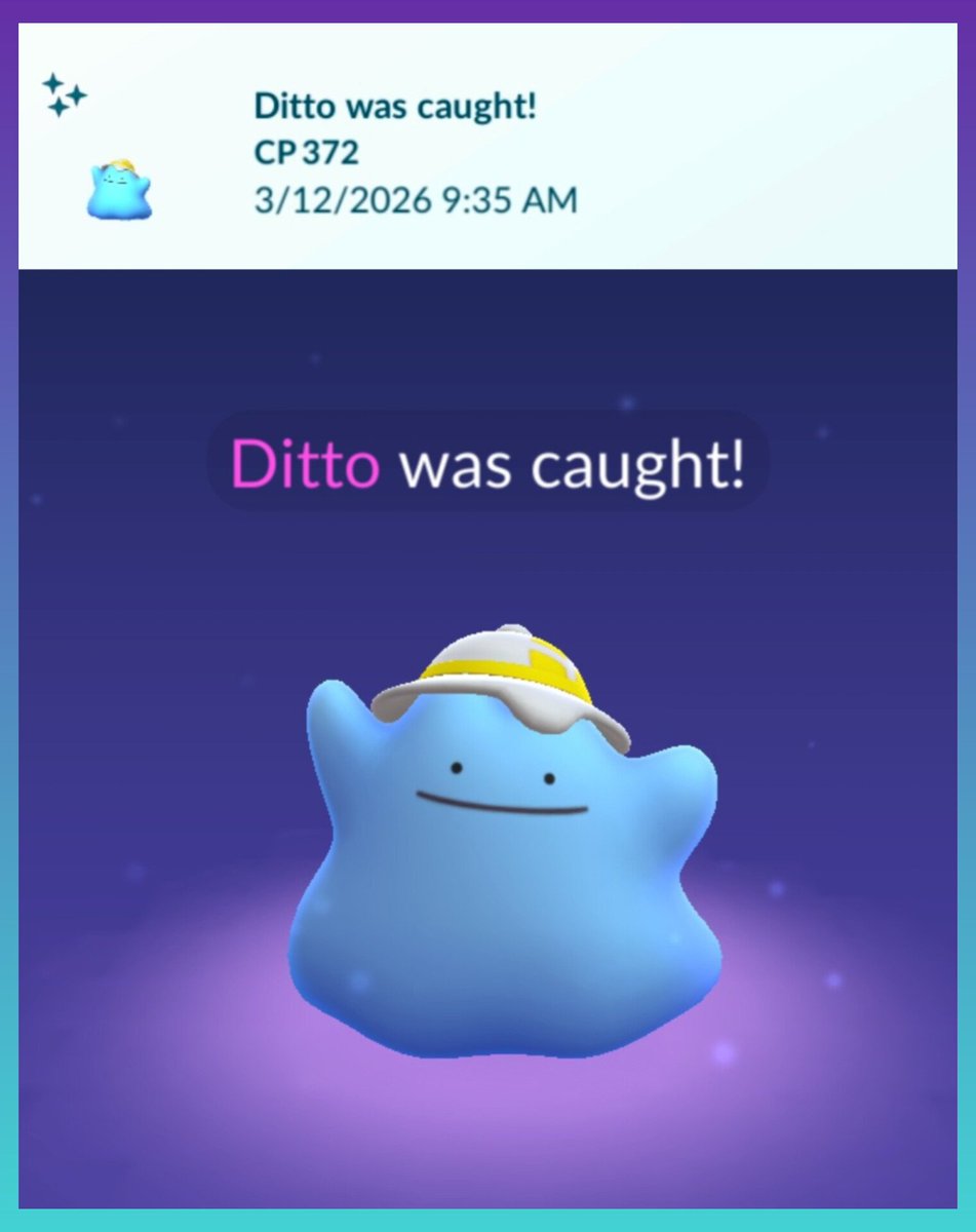 ⋆。𖦹 ƙҽҽƙʂ 𖦹。⋆ tweet media