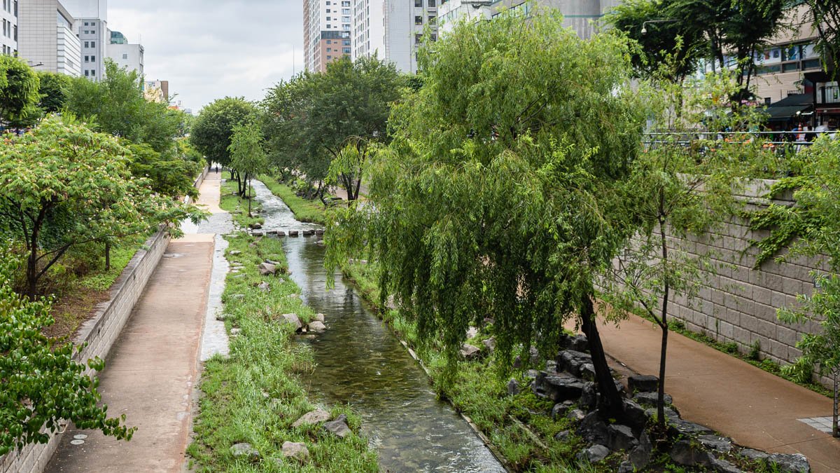 Medio Ambiente UPV tweet media